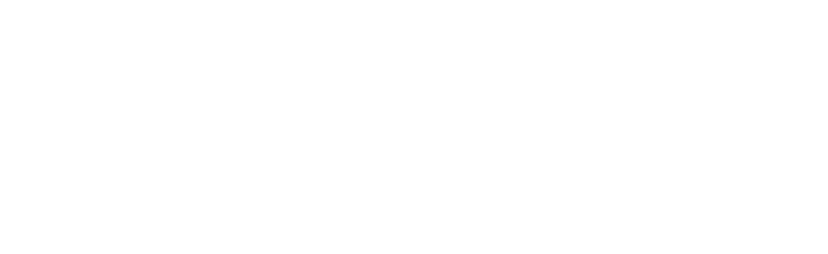 Pillar Security